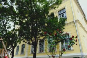 All4Joy – Școală | Grădiniță | Creșă | After School – Sibiu