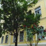 All4Joy &ndash; Școală | Grădiniță | Creșă | After School &ndash; Sibiu