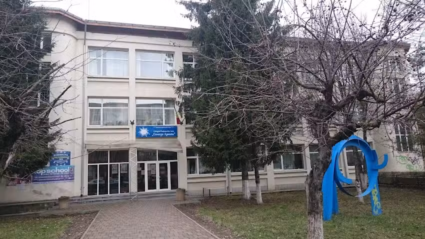 Colegiul Național de Artă „George Apostu”