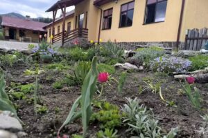 Hidesegi eleni iskola