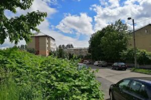 Liceul cu Program Sportiv