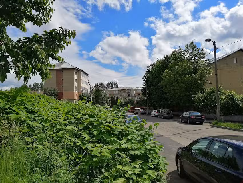 Liceul cu Program Sportiv