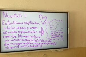 Mihai Cornel meditator matematică