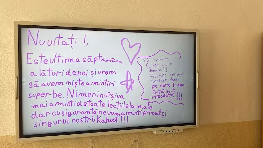 Mihai Cornel meditator matematică