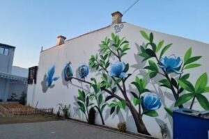 Montessori Transilvania