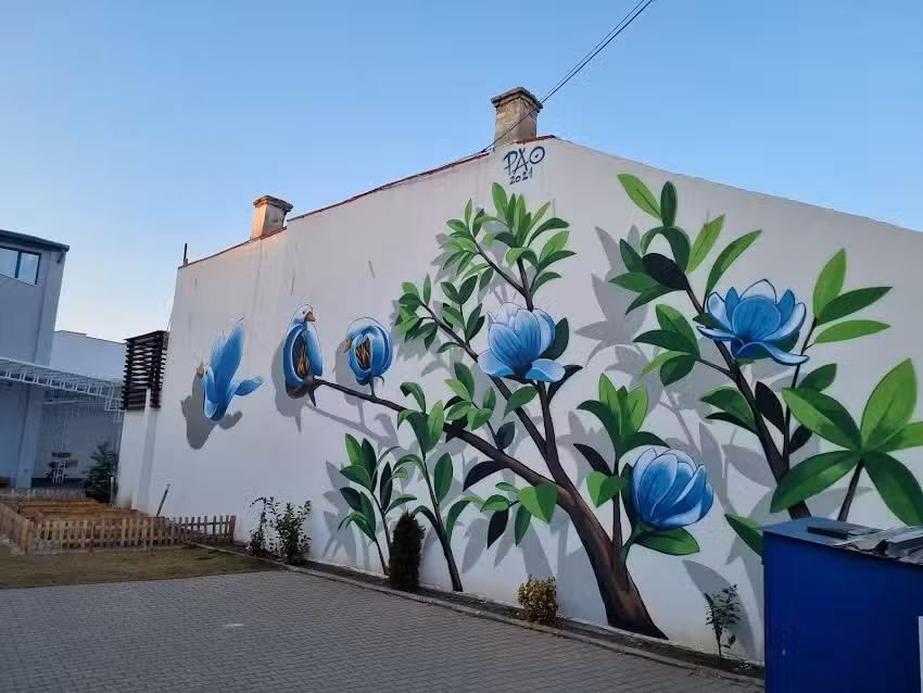 Montessori Transilvania