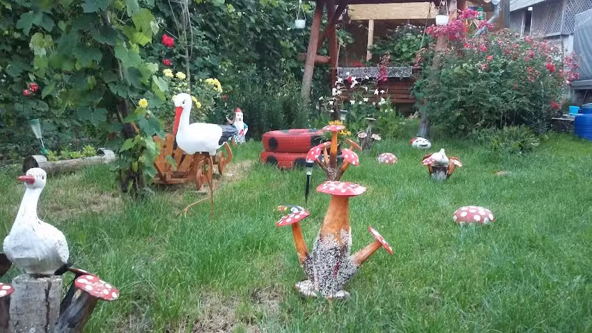 ŞCOALA CLASELE I-VIII BASCENII DE SUS