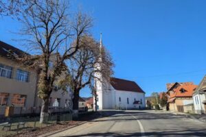 ŞCOALA CLASELE I-VIII BORBÁTH KÁROLY