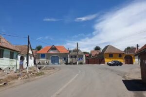 ŞCOALA CLASELE I-VIII ILIE MICU