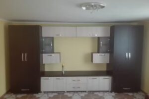 ŞCOALA CLASELE I-VIII ROŞIORI