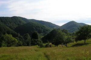 Școala cu clasele I-VIII