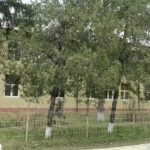 Școala Cu Clasele I-VIII Bivolari &bdquo;MIHAI EMINESCU&rdquo;