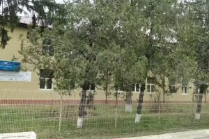 Școala Cu Clasele I-VIII Bivolari &bdquo;MIHAI EMINESCU&rdquo;