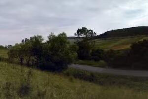 Școala Cu Clasele I-VIII Lia Manoliu