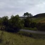 Școala Cu Clasele I-VIII Lia Manoliu