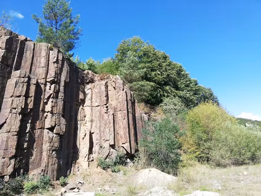 ŞCOALA CU CLASELE I-VIII M. SADOVEANU