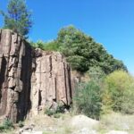 ŞCOALA CU CLASELE I-VIII M. SADOVEANU