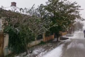 ŞCOALA CU CLASELE I-VIII NR. 1