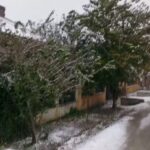 ŞCOALA CU CLASELE I-VIII NR. 1