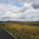 ŞCOALA CU CLASELE I-VIII PLOSCOŞ