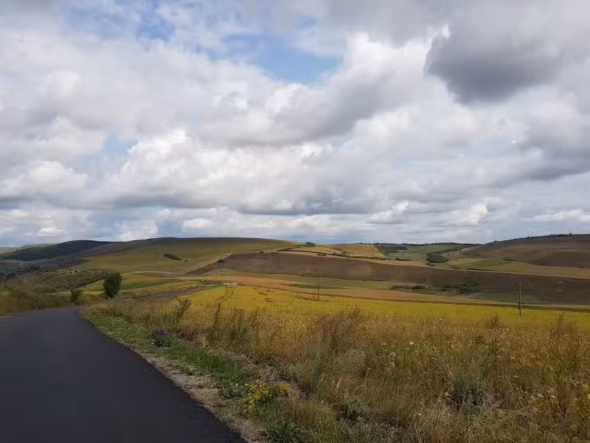 ŞCOALA CU CLASELE I-VIII PLOSCOŞ