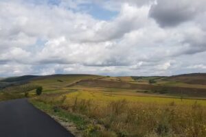 ŞCOALA CU CLASELE I-VIII PLOSCOŞ