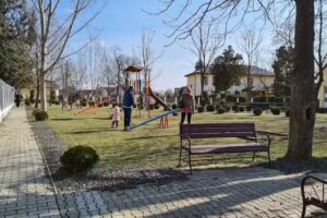 Şcoala cu clasele I-VIII Şag