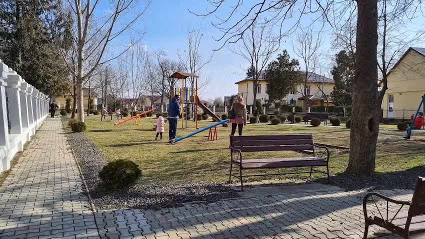 Şcoala cu clasele I-VIII Şag