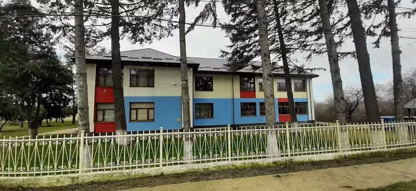 Școala Generală cu clasele I-VIII Gheorghe Avramescu Prăjești