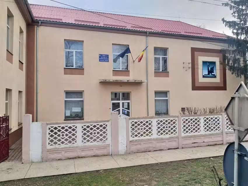 ŞCOALA GENERALĂ PĂULIŞ