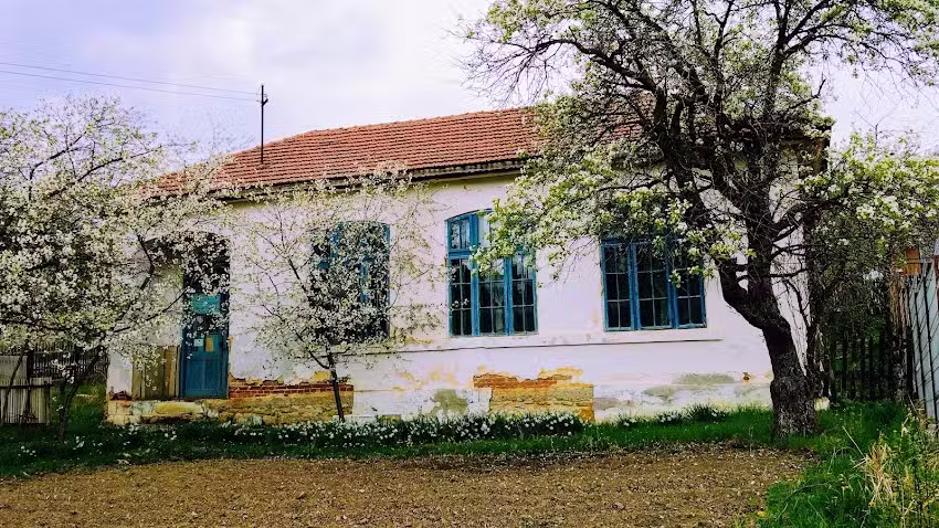 Școala Generală Valea Verzei