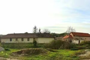 Scoala Generala Velț