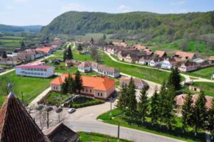 ŞCOALA GIMNAZIALĂ APOLD