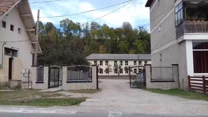 Școala Gimnazială &bdquo;Bicazu Ardelean&rdquo;