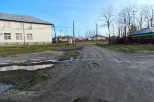 Școala gimnaziala Boroșoaia