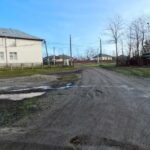 Școala gimnaziala Boroșoaia