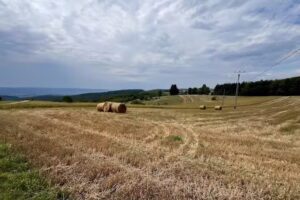 Școala Gimnazială Clasele I-VIII Șerani