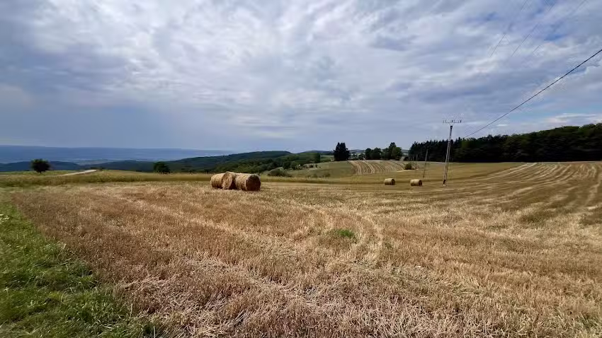 Școala Gimnazială Clasele I-VIII Șerani