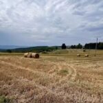 Școala Gimnazială Clasele I-VIII Șerani