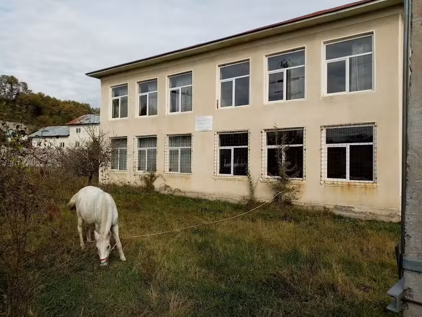 Școală Gimnaziala cu Clasele I-VIII