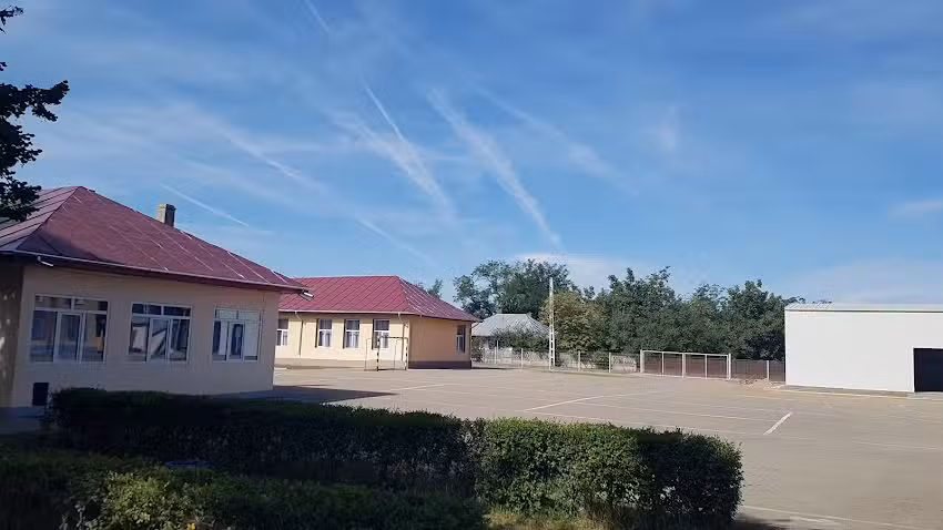 Scoala gimnazială Dridu 1-8