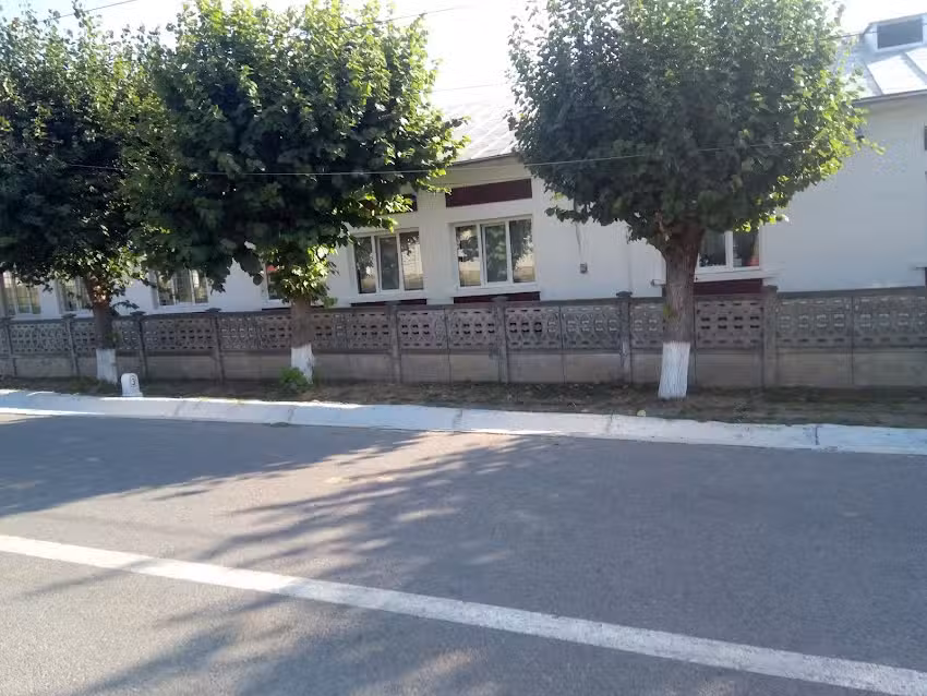 Scoala Gimnaziala Dumbrăvița