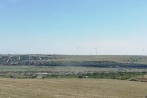 Școala Gimnazială &bdquo;Mihail Sadoveanu&rdquo;