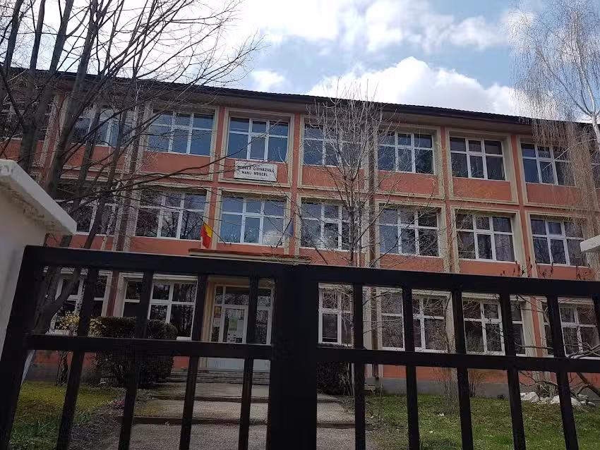 Școala Gimnazială Nanu Muscel