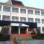 Școala Gimnazială Nicolae Colan