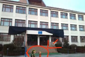 Școala Gimnazială Nicolae Colan