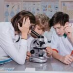 Scoala Gimnaziala SEB