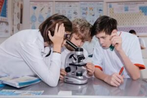 Scoala Gimnaziala SEB