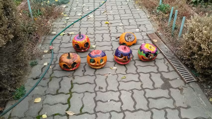 Școala Gimnazială Uruguay