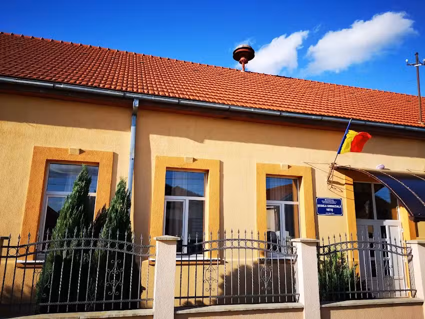 Scoala Gimnazială Vetis